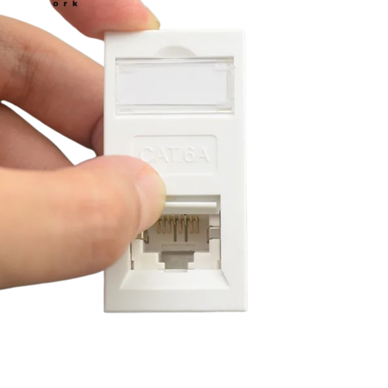 British CAT6A STP RJ45 Face Plate