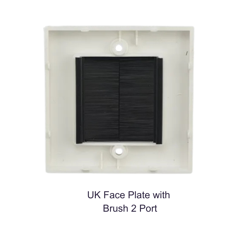 British Face Plate 2 Port With Brush 